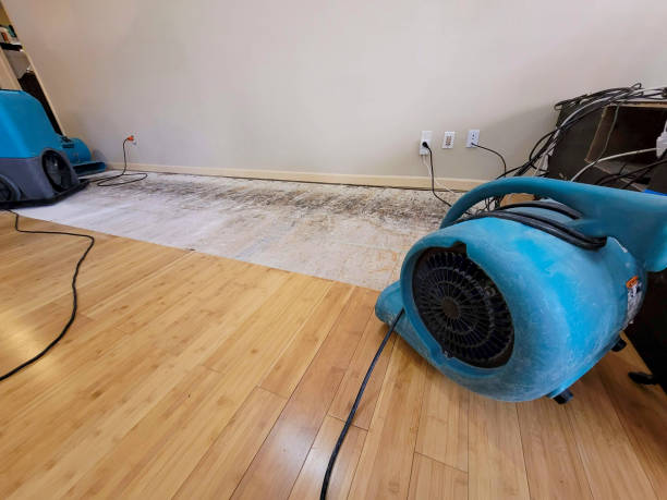 Professional Water Damage Repair technician working in Rice, MN